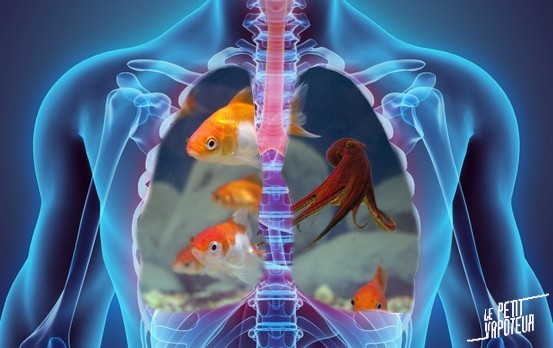 eau-poumons-cigarette-electronique-blog-le-petit-vapoteur